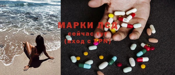 амф Алзамай
