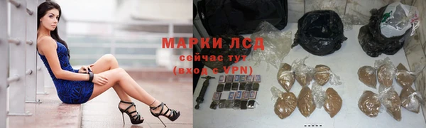 амф Алзамай