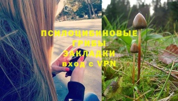 мяу мяу кристалл Алексин