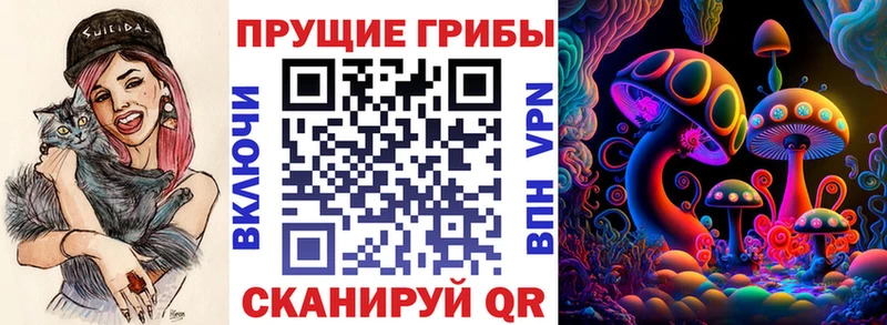 магазин продажи наркотиков  Шацк  Галлюциногенные грибы мухоморы 